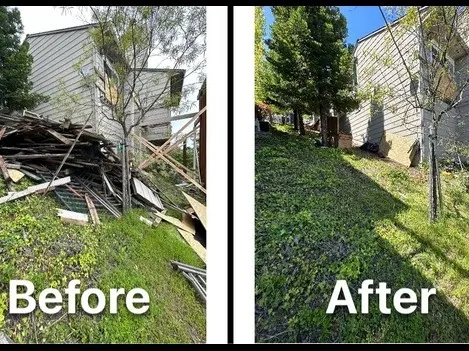 Construction Debris Removal